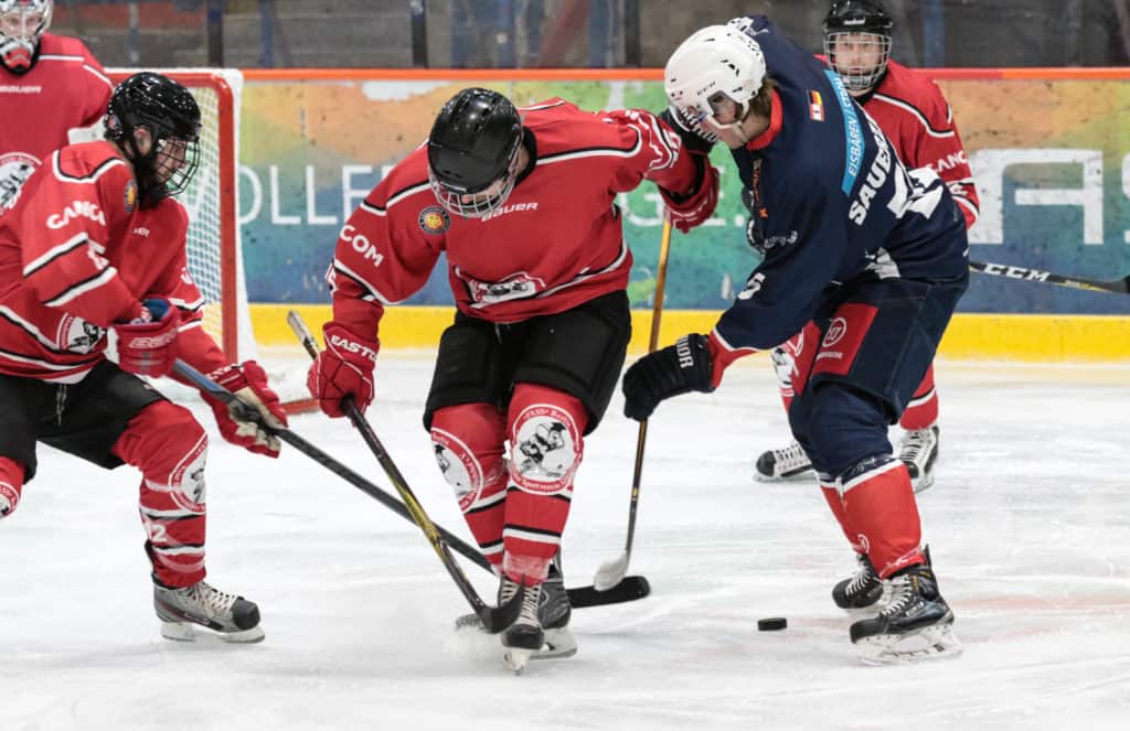 2019-01-20 Landesliga FASS Eisbären